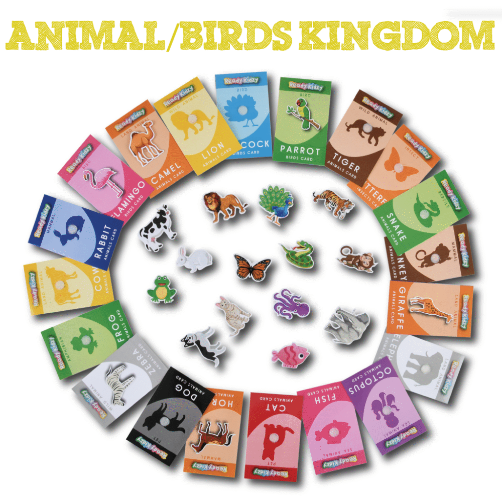 Set of 108 Activity Flash Cards (Velcro based Flash Cards on all basic topics) - Image 7